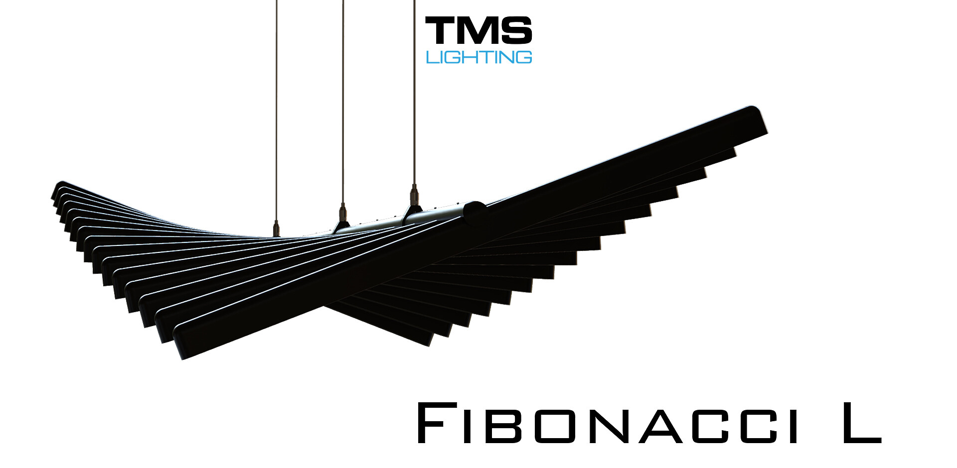 FIBONACCI L_1920x940_WebSiteVideoThumbnail_Wed Mar19th 2025.jpg